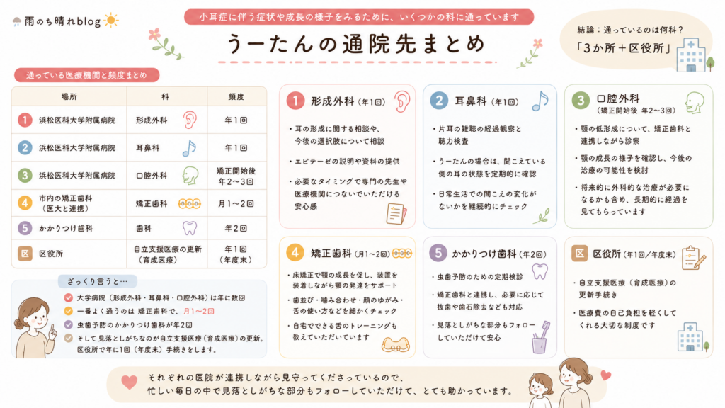 小耳症の娘が通う病院一覧。浜松医大の形成外科・耳鼻科・口腔外科、市内の矯正歯科、かかりつけ歯科、区役所の手続きをまとめた図