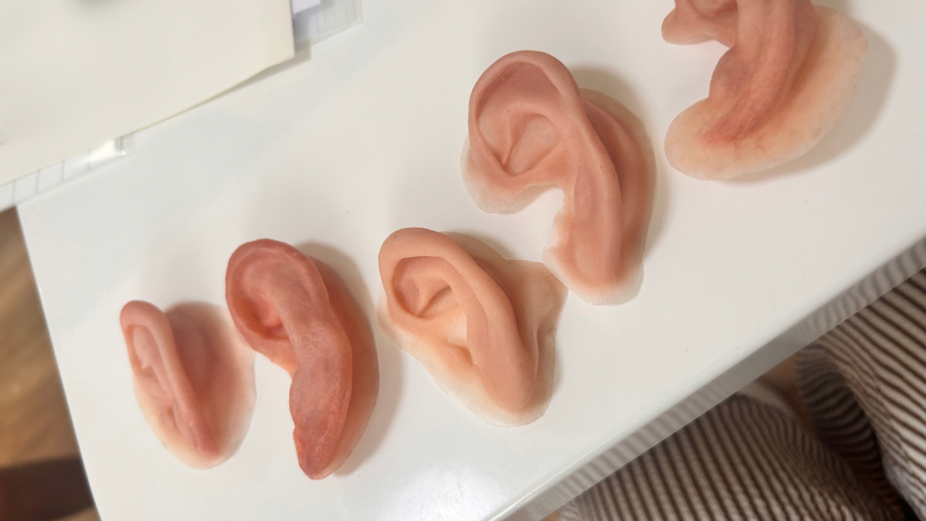 エピテーゼの耳のサンプル。シリコーン製の人工耳が並んでいる
